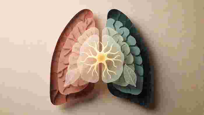 The preface image of article HEALTH-2026.09.10-B1